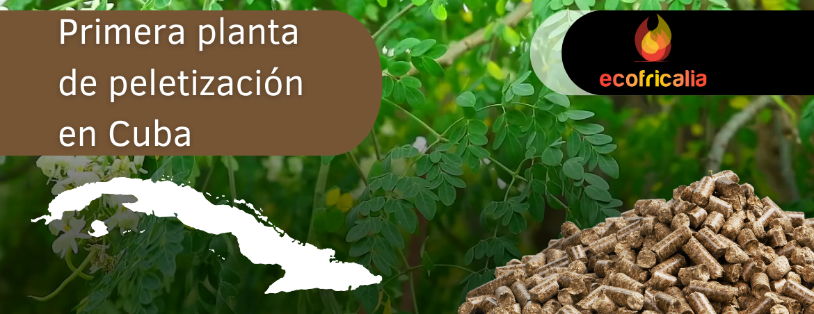 Ecofricalia instalará la primera planta de peletización en Cuba Ecofricalia instalará la primera planta de peletización en Cuba